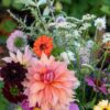 Bloemen Plukken
