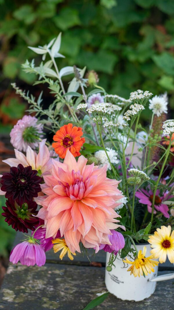 Bloemen Plukken