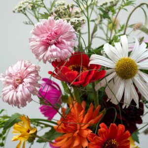 Bloemen