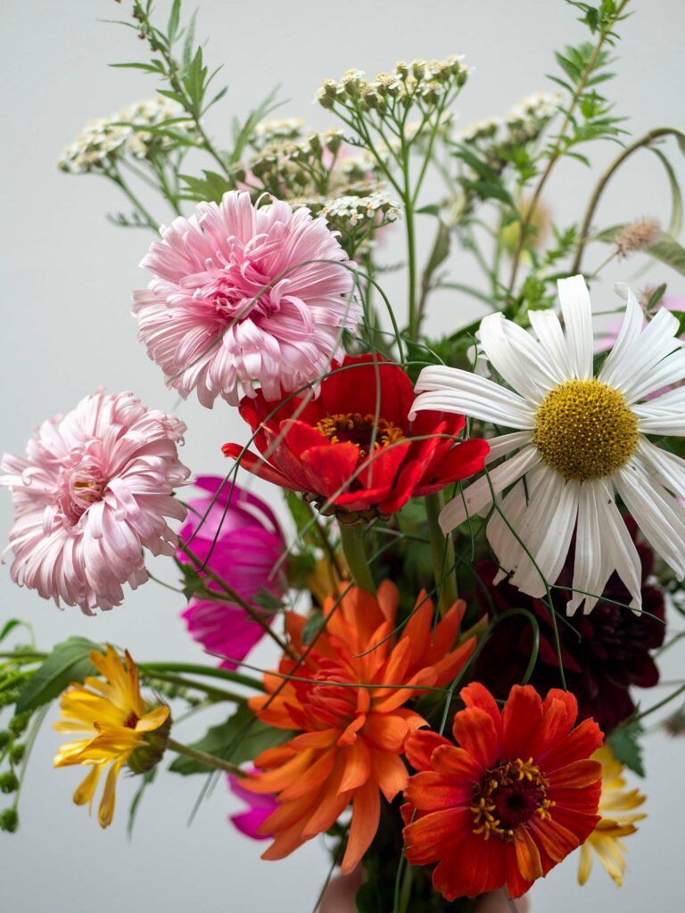 bloemen plukken ede