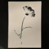 Botanical Print Workshop