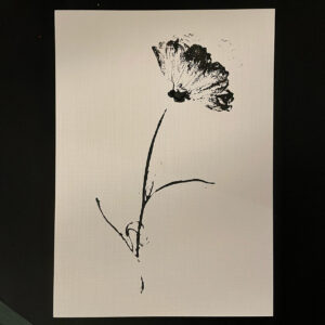 Botanical Print Workshop